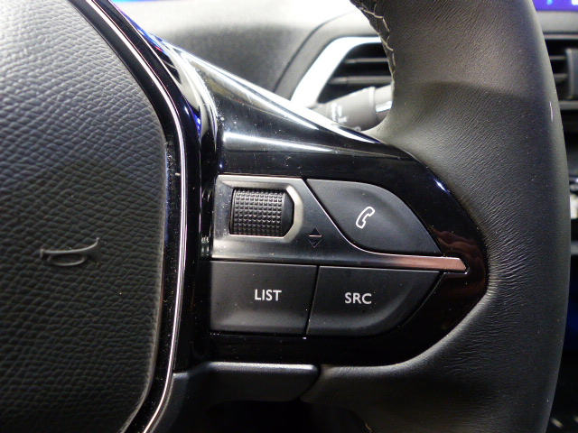 PEUGEOT 3008 BUSINESS
