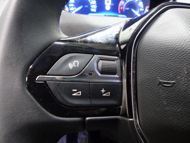 PEUGEOT 3008 BUSINESS
