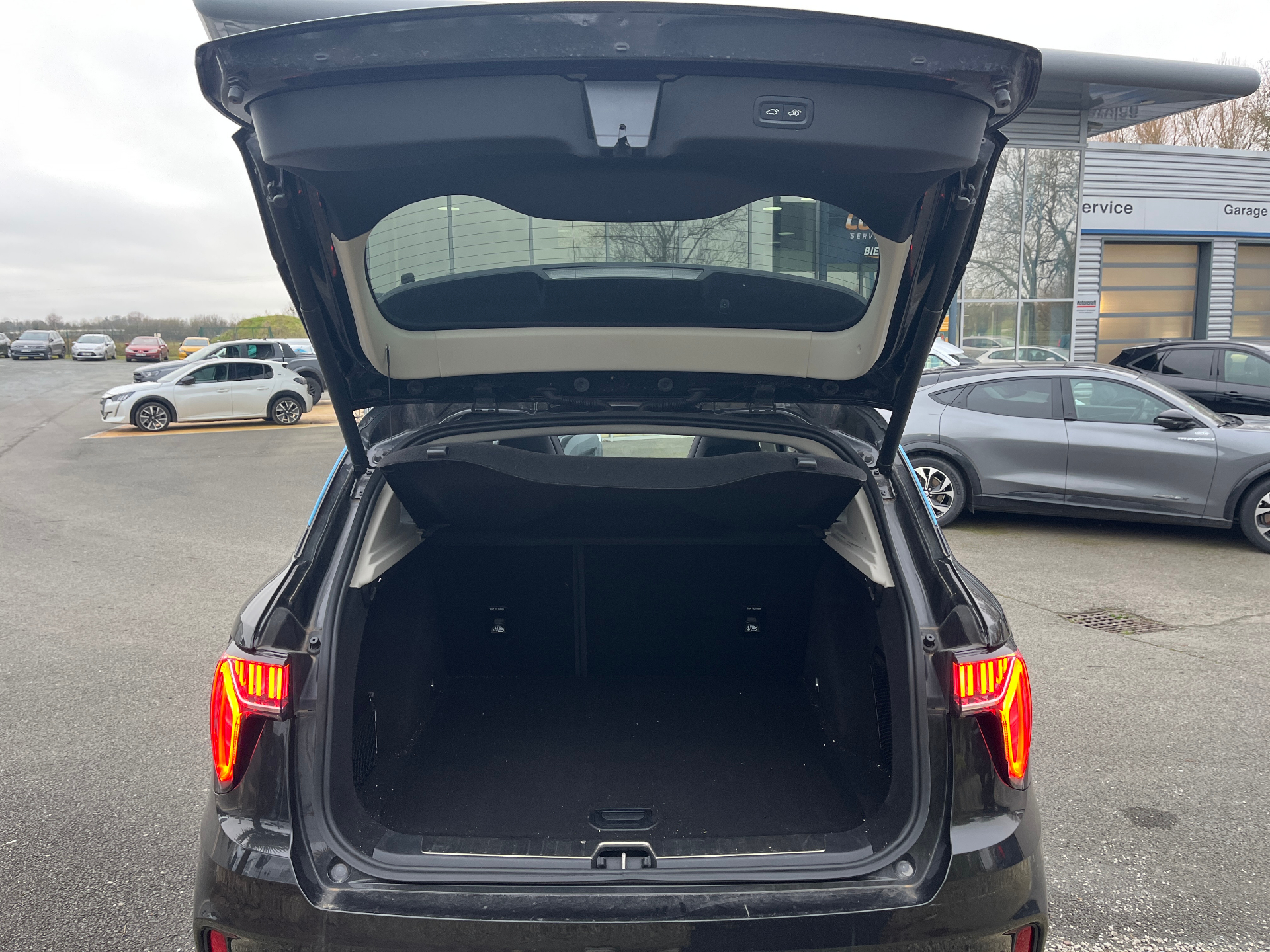 58923704-9b58-46bd-9a28-75c71341429d