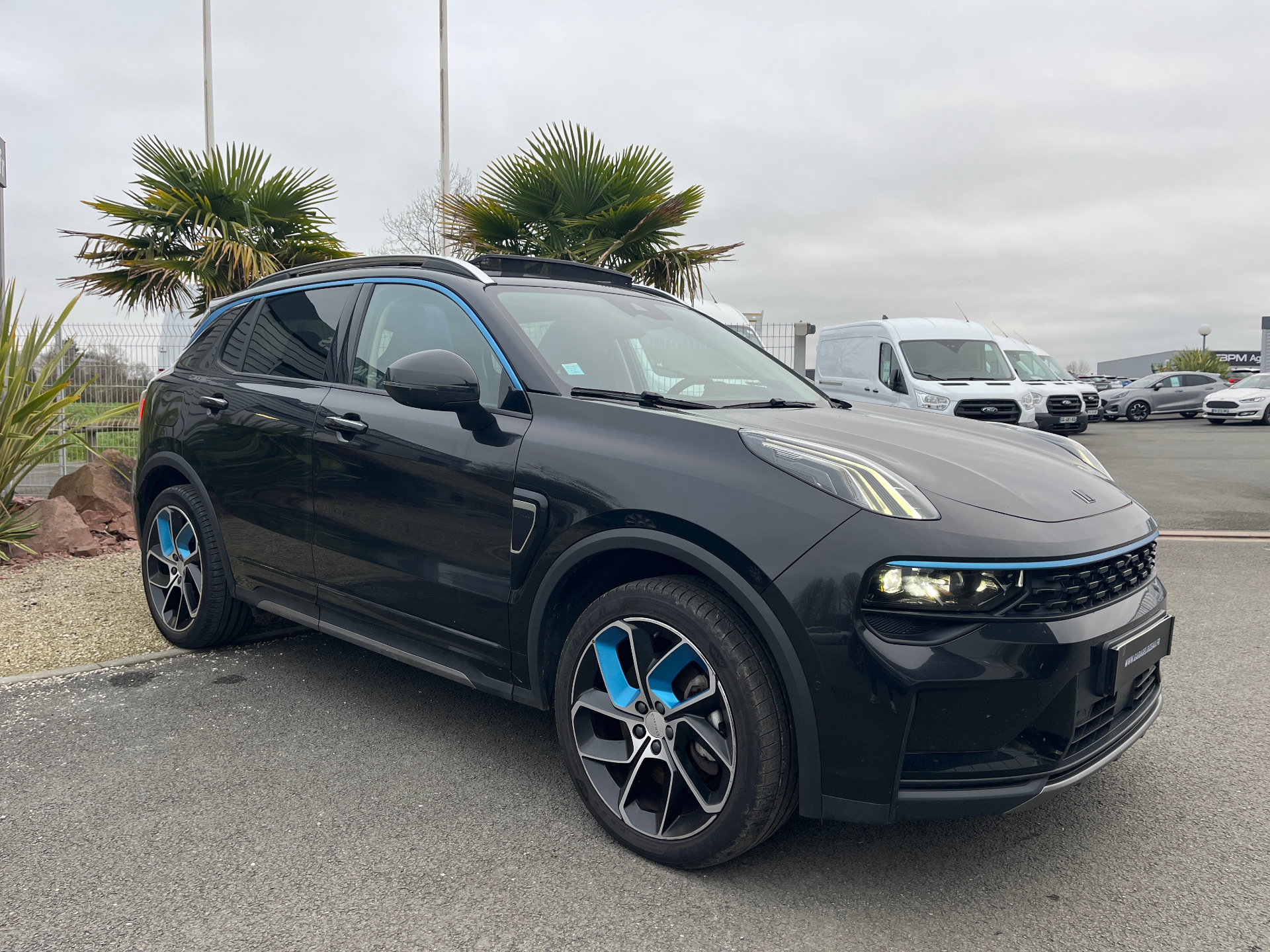 b4c52186-806b-411e-9717-05941dc82723