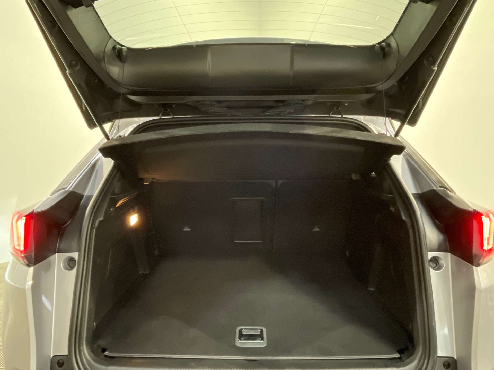 Photo 54 du véhicule PEUGEOT 3008