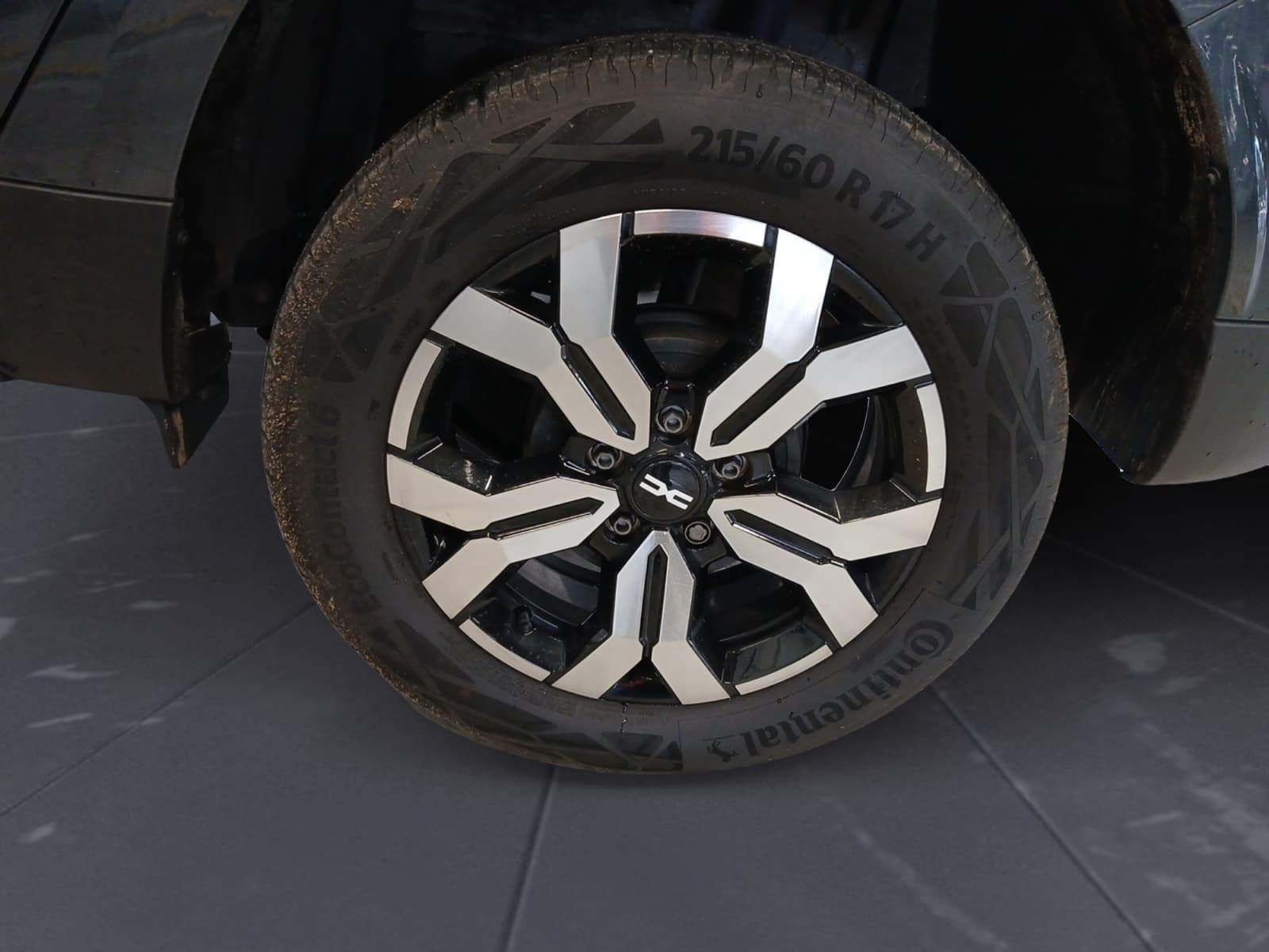 Photo 8 du véhicule DACIA DUSTER