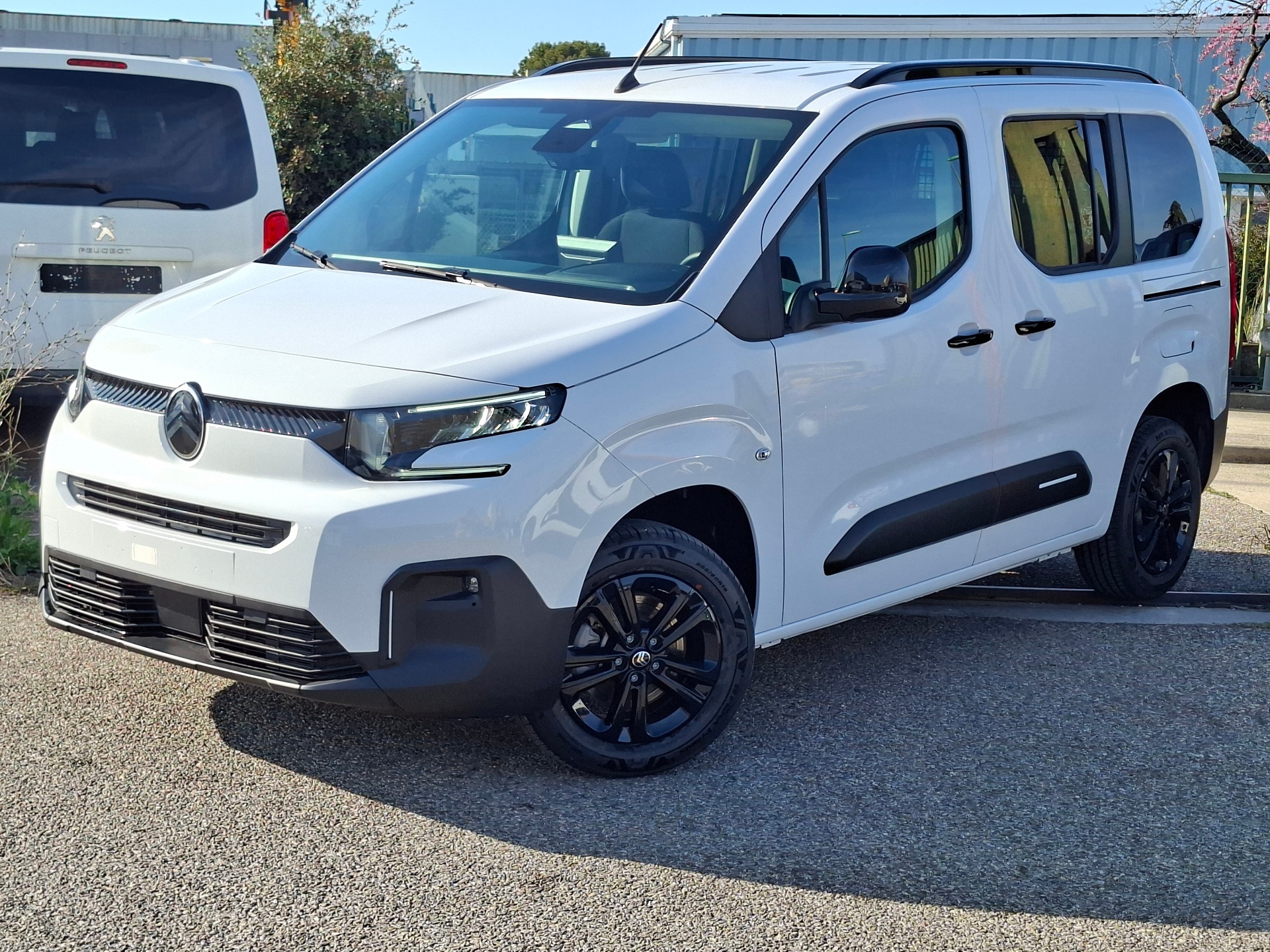 CITROEN BERLINGO Taille M BlueHDi 130 S&S EAT8 Max, voiture neuve