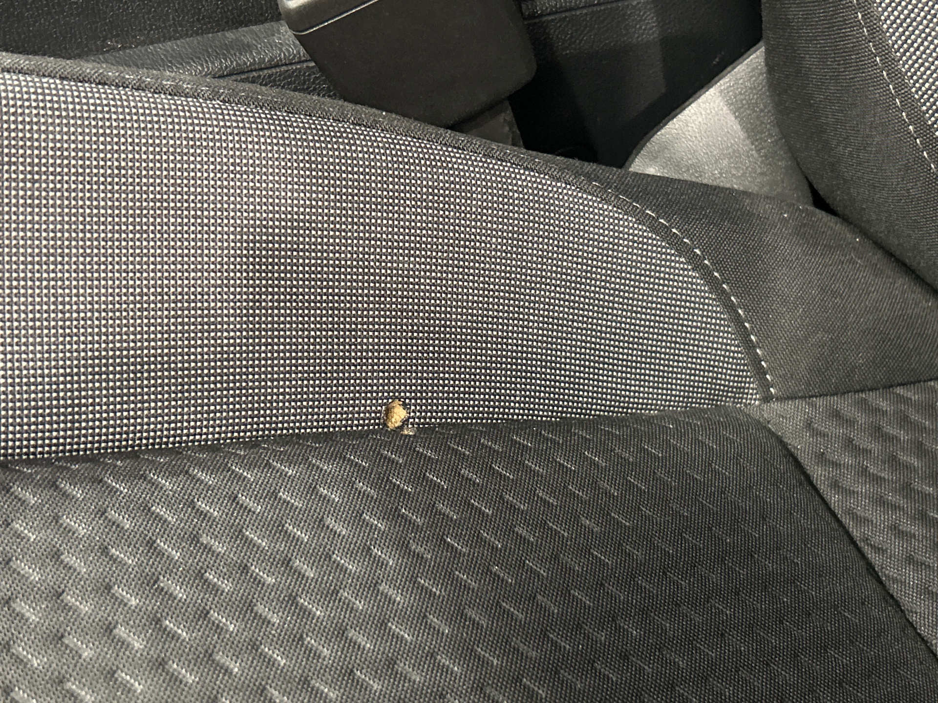 Photo 41 du véhicule VOLKSWAGEN TAIGO