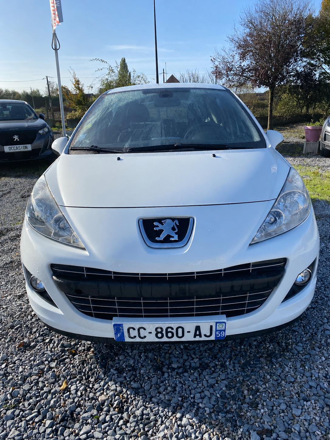 PEUGEOT 207 BUSINESS 1.6 HDI 92CH FAP BUSINESS PACK